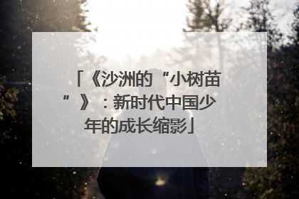 《沙洲的“小树苗”》：新时代中国少年的成长缩影