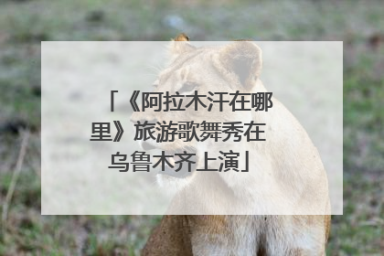《阿拉木汗在哪里》旅游歌舞秀在乌鲁木齐上演
