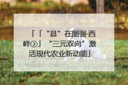 「“县”在图强·西峰②」“三元双向”激活现代农业新动能