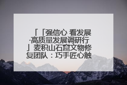 「强信心 看发展·高质量发展调研行」麦积山石窟文物修复团队：巧手匠心触摸“光阴的故事”