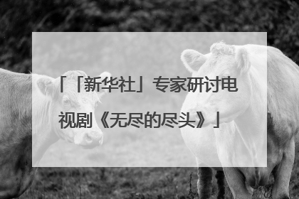 「新华社」专家研讨电视剧《无尽的尽头》