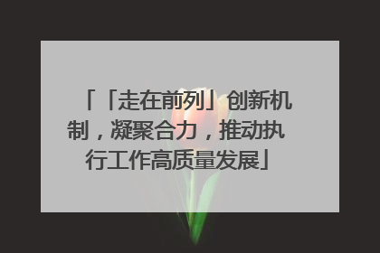 「走在前列」创新机制，凝聚合力，推动执行工作高质量发展