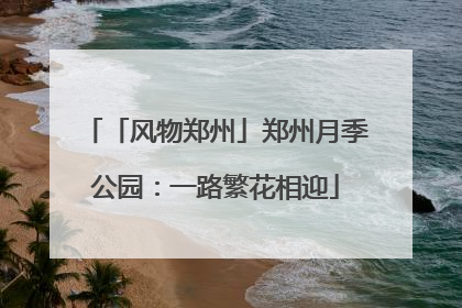 「风物郑州」郑州月季公园：一路繁花相迎