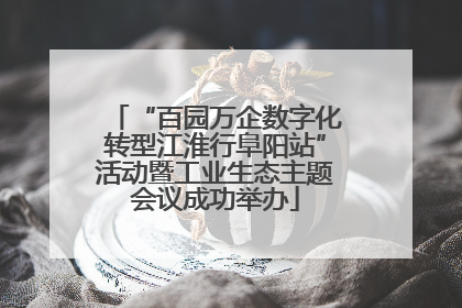 “百园万企数字化转型江淮行阜阳站”活动暨工业生态主题会议成功举办