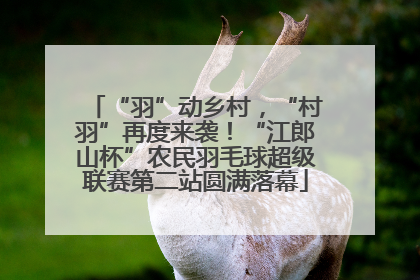 “羽”动乡村，“村羽”再度来袭！“江郎山杯”农民羽毛球超级联赛第二站圆满落幕