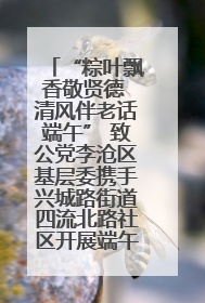 “粽叶飘香敬贤德 清风伴老话端午” 致公党李沧区基层委携手兴城路街道四流北路社区开展端午节主题活动