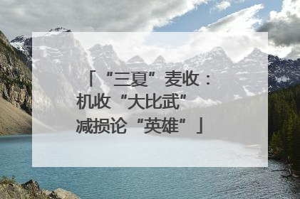 “三夏”麦收：机收“大比武” 减损论“英雄”