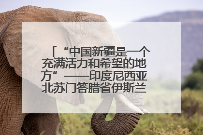 “中国新疆是一个充满活力和希望的地方”——印度尼西亚北苏门答腊省伊斯兰教代表团参访新疆