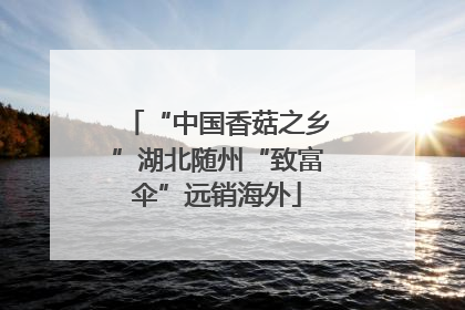 “中国香菇之乡”湖北随州“致富伞”远销海外