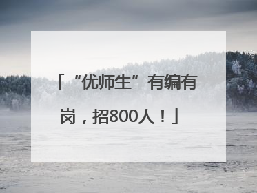“优师生”有编有岗，招800人！