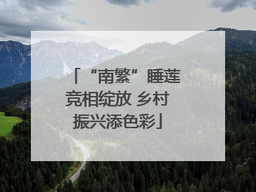 “南繁”睡莲竞相绽放 乡村振兴添色彩