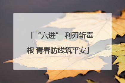 “六进” 利刃斩毒根 青春防线筑平安