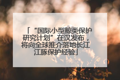 “国际小型鲸类保护研究计划”在汉发布，将向全球推介落地长江江豚保护经验