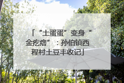 “土蛋蛋”变身“金疙瘩”：孙伯镇西程村土豆丰收记