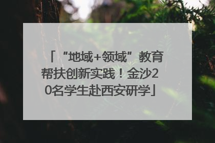 “地域+领域”教育帮扶创新实践！金沙20名学生赴西安研学