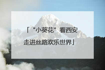“小葵花”看西安走进丝路欢乐世界