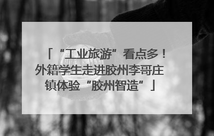 “工业旅游”看点多！外籍学生走进胶州李哥庄镇体验“胶州智造”
