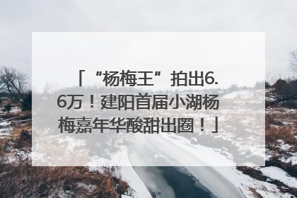 “杨梅王”拍出6.6万！建阳首届小湖杨梅嘉年华酸甜出圈！