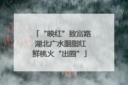 “映红”致富路 湖北广水胭脂红鲜桃火“出圈”