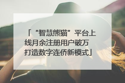 “智慧熊猫”平台上线月余注册用户破万 打造数字连侨新模式