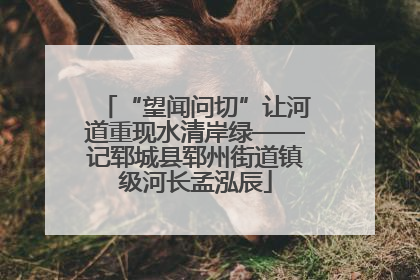 “望闻问切”让河道重现水清岸绿——记郓城县郓州街道镇级河长孟泓辰