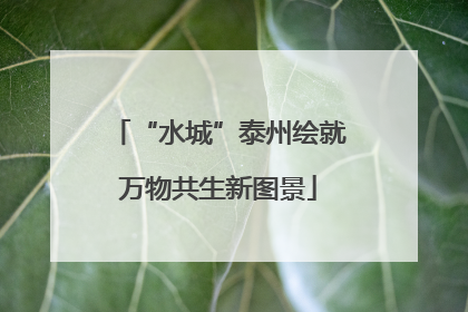 “水城”泰州绘就万物共生新图景