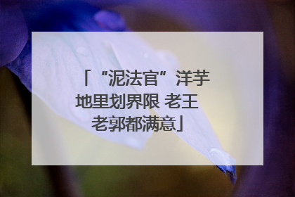 “泥法官”洋芋地里划界限 老王老郭都满意