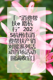 “消费帮扶e 路杭行”2025杭州市消费帮扶产销对接系列活动首场活动圆满收官