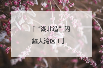 “湖北造”闪耀大湾区！