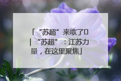 “苏超”来歌了⑪｜“苏超”：江苏力量，在这里聚焦