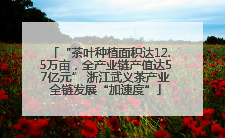 “茶叶种植面积达12.5万亩，全产业链产值达57亿元” 浙江武义茶产业全链发展“加速度”