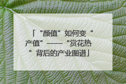 “颜值”如何变“产值”——“赏花热”背后的产业图谱