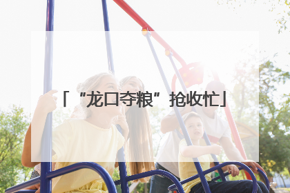 “龙口夺粮”抢收忙