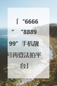 “6666”“888999”手机靓号再登法拍平台