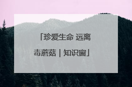 珍爱生命 远离毒蘑菇｜知识窗