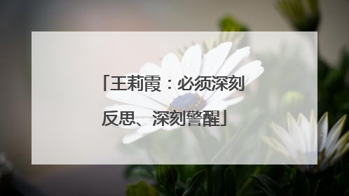 王莉霞：必须深刻反思、深刻警醒