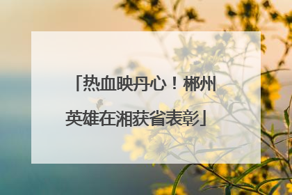 热血映丹心！郴州英雄在湘获省表彰