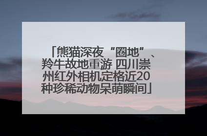 熊猫深夜“圈地”、羚牛故地重游 四川崇州红外相机定格近20种珍稀动物呆萌瞬间
