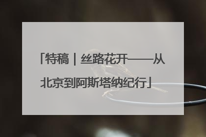 特稿｜丝路花开——从北京到阿斯塔纳纪行