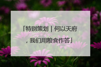 特别策划｜何以天府，我们用粮食作答