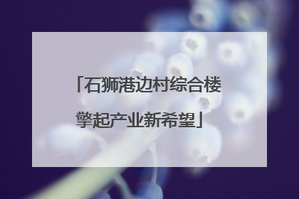 石狮港边村综合楼擎起产业新希望