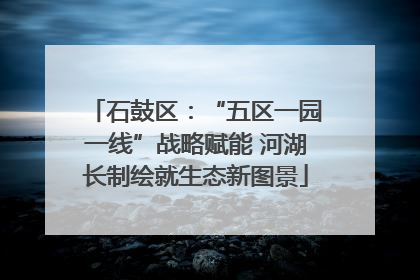 石鼓区：“五区一园一线”战略赋能 河湖长制绘就生态新图景
