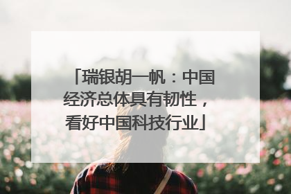 瑞银胡一帆：中国经济总体具有韧性，看好中国科技行业