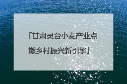 甘肃灵台小麦产业点燃乡村振兴新引擎