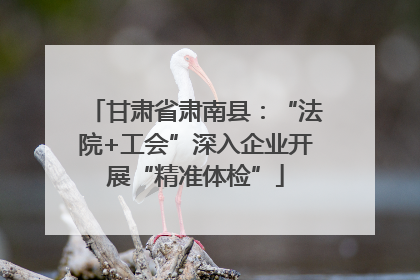 甘肃省肃南县：“法院+工会”深入企业开展“精准体检”