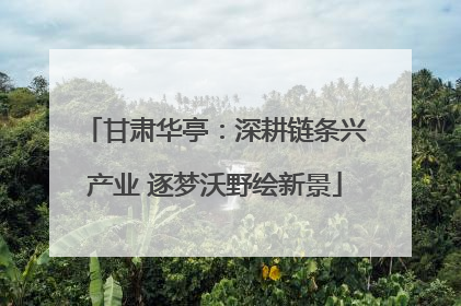 甘肃华亭：深耕链条兴产业 逐梦沃野绘新景