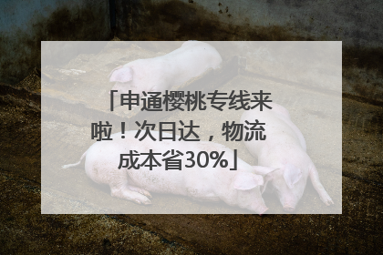 申通樱桃专线来啦！次日达，物流成本省30%