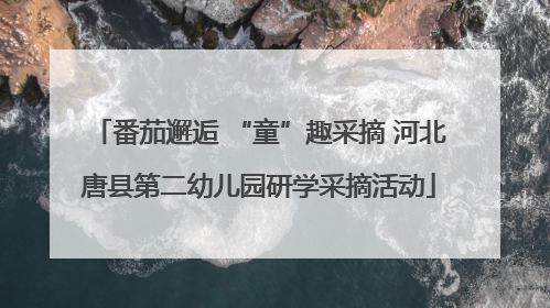 番茄邂逅 “童”趣采摘 河北唐县第二幼儿园研学采摘活动