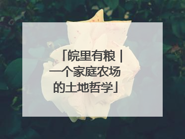 皖里有粮｜一个家庭农场的土地哲学