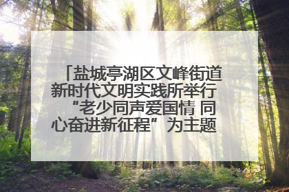 盐城亭湖区文峰街道新时代文明实践所举行“老少同声爱国情 同心奋进新征程”为主题的红色文化活动